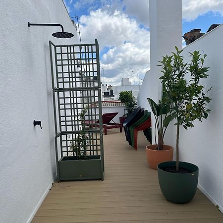 Galera Donkey Terraza Privada Apartamento Sevilha Exterior foto